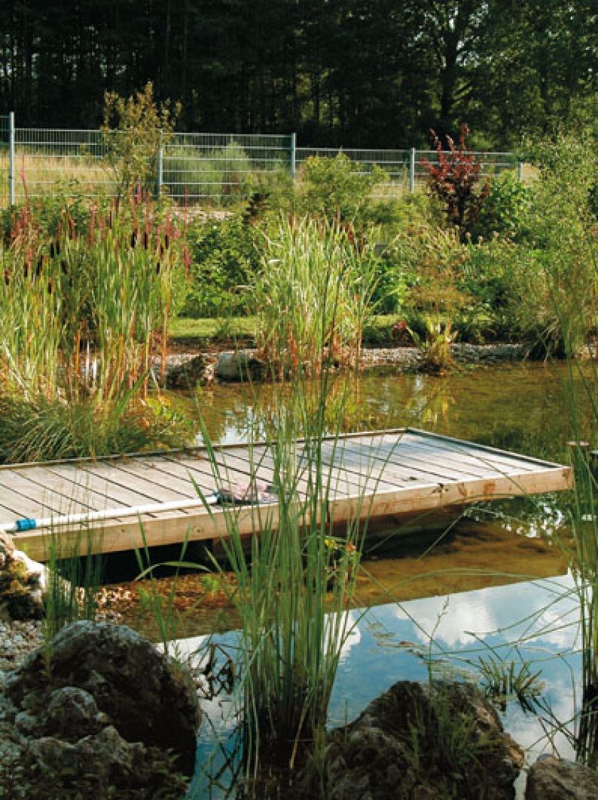 Z pomostu można kontemplować piękno ogrodu albo podglądać wodne żyjątka w krystalicznie przejrzystej wodzie.