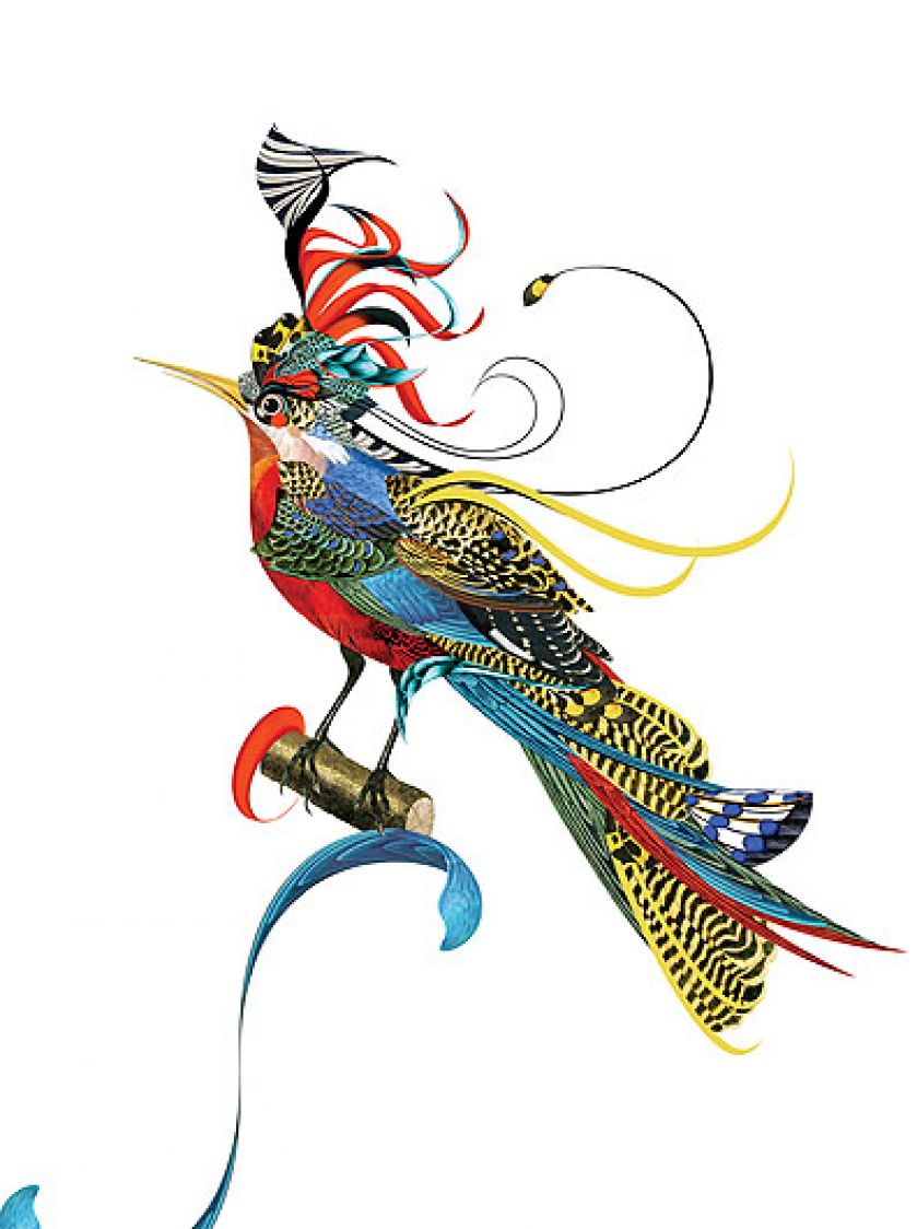 Księga ptaków, 2011 r. Botaniczne grafiki Bożki Rydlewskiej