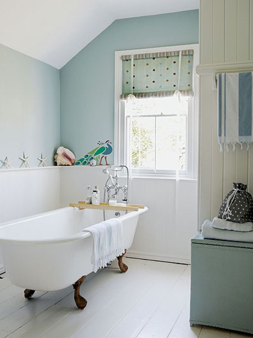 Płochliwy, krzykliwy, z wachlarzem bajecznych pi oacute r na ogonie i zawadiackim czubkiem na głowie. O tym,