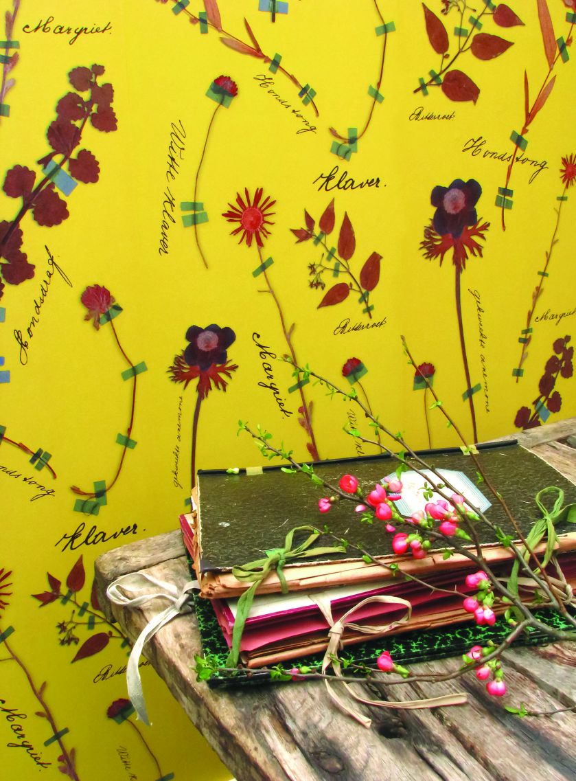 Tapeta Botanicals inspirowana XIX-wiecznymi zielnikami