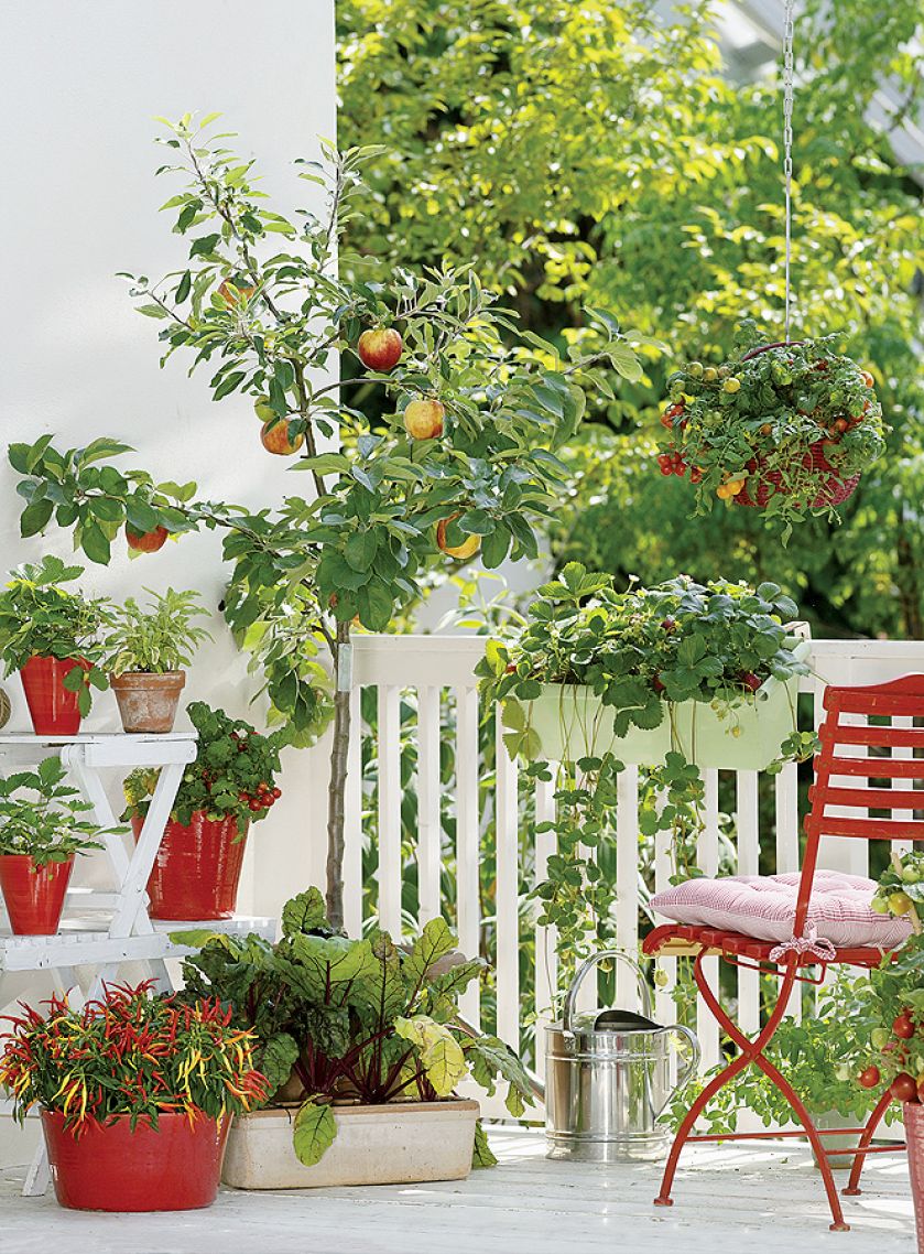aranżacje z kwiatami na balkon