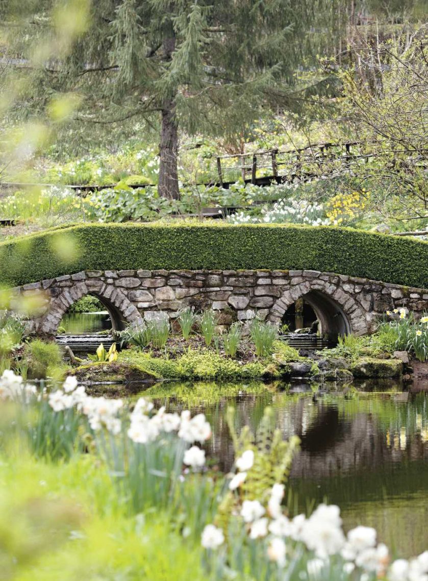 Milion i jeden narcyzów