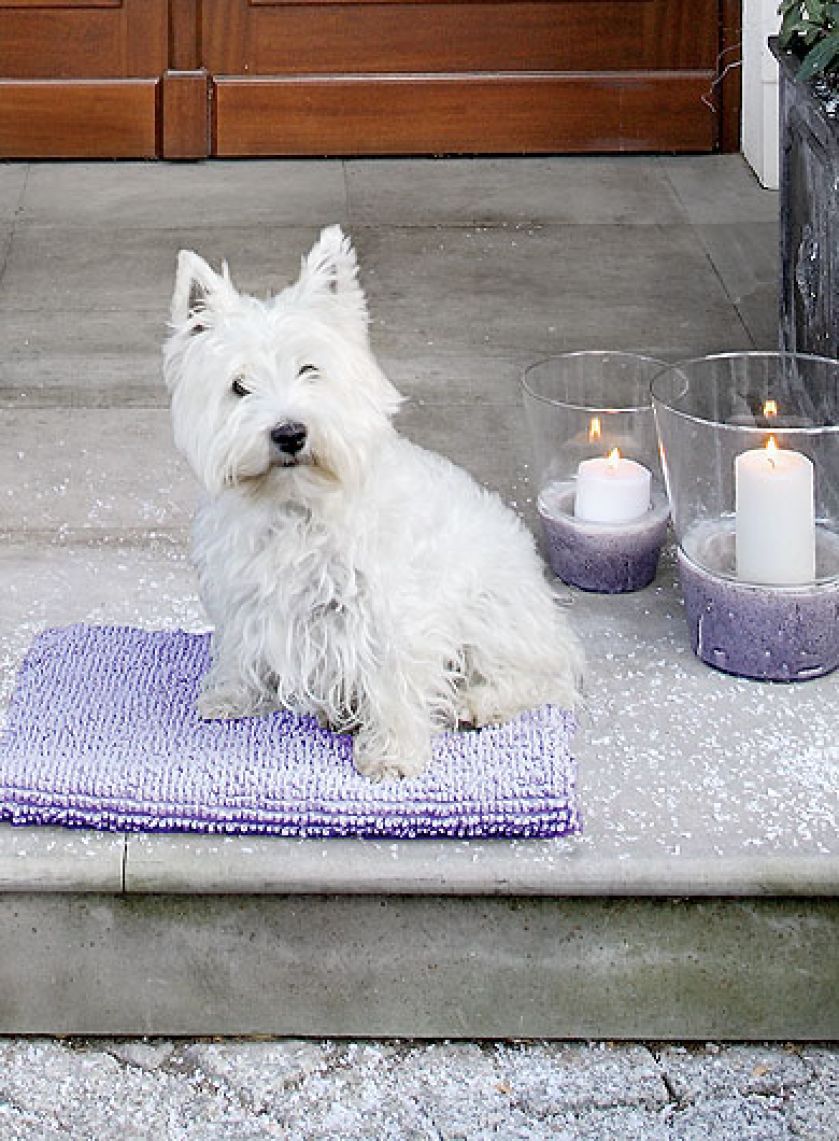 Dom w stylu francuskim z mnóstwem bieli i lawendowymi dodatkami.