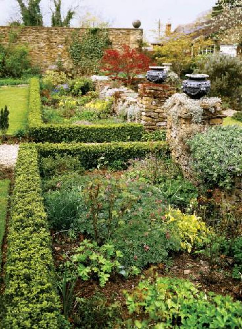 Trawnik porośnięty krzewami. Angielski trawnik i polska łąka