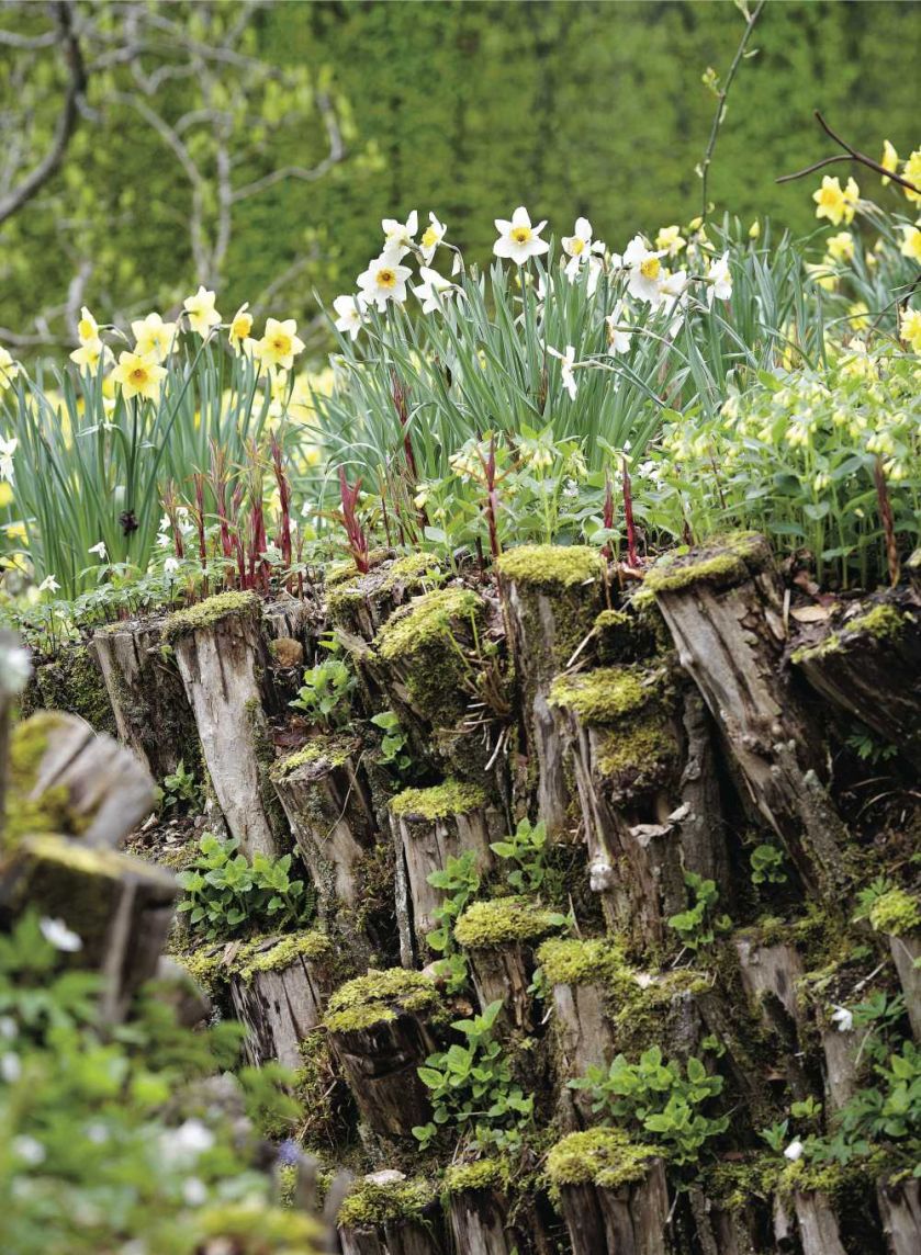 Milion i jeden narcyzów