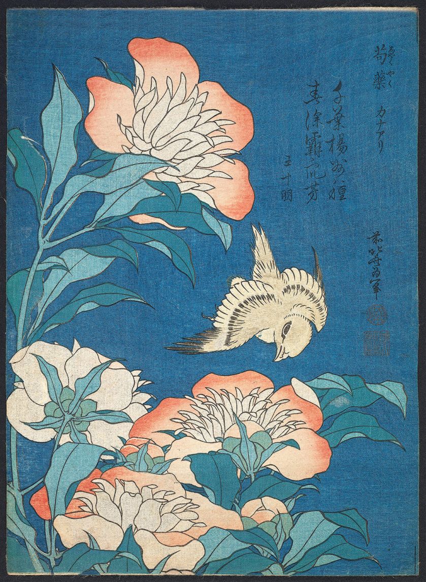 Ikebana nie jest zwykłym bukietem – każdy kwiat symbolizuje jakieś uczucie. Gdy usta milczą, mówią