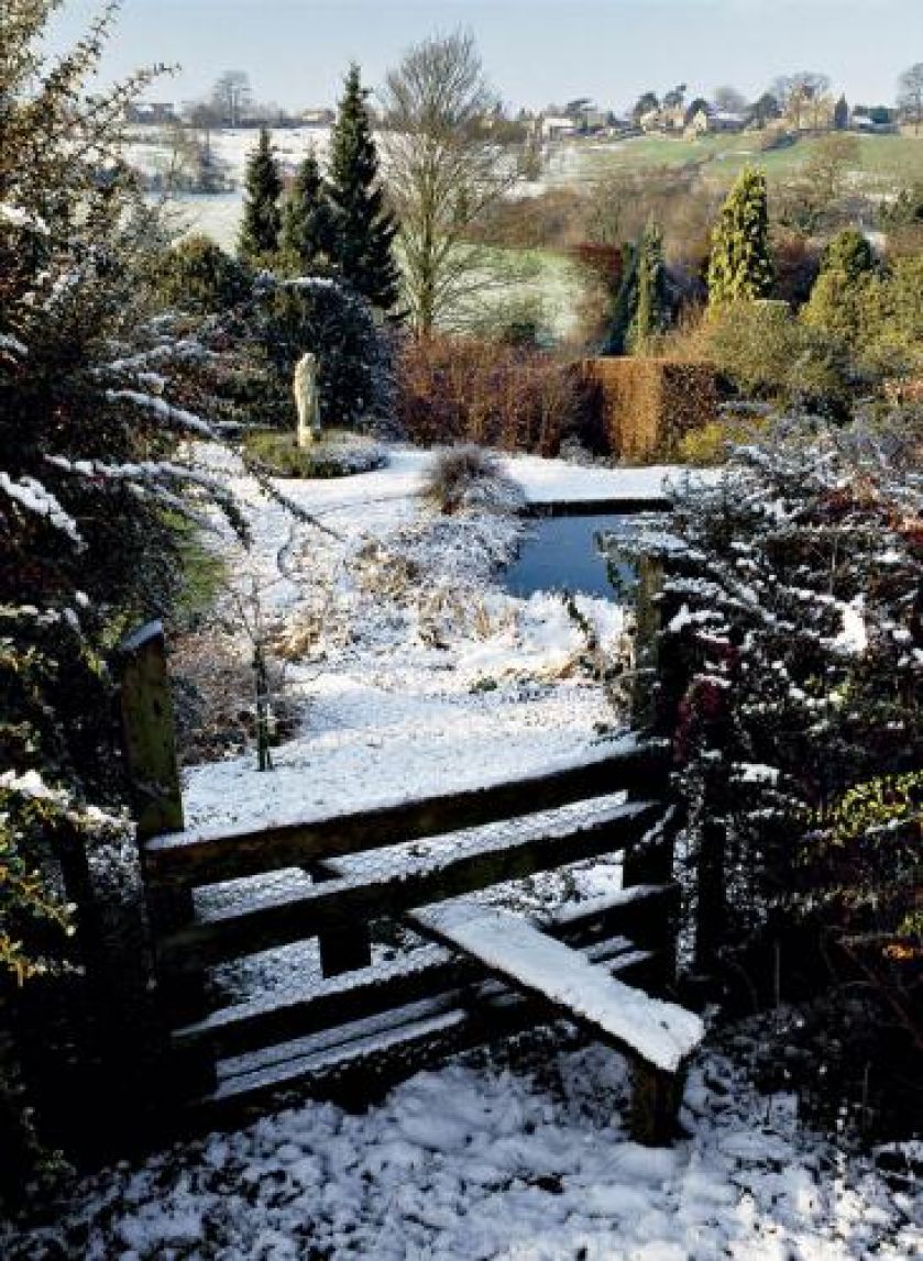 Pełny kolorów ogród zimowy. Ogród w zimowej szacie