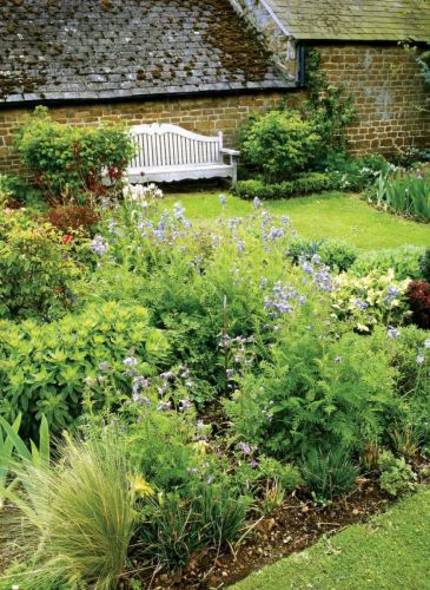 Angielski trawnik i polska łąka - ulubiona kompozycja Ginny.