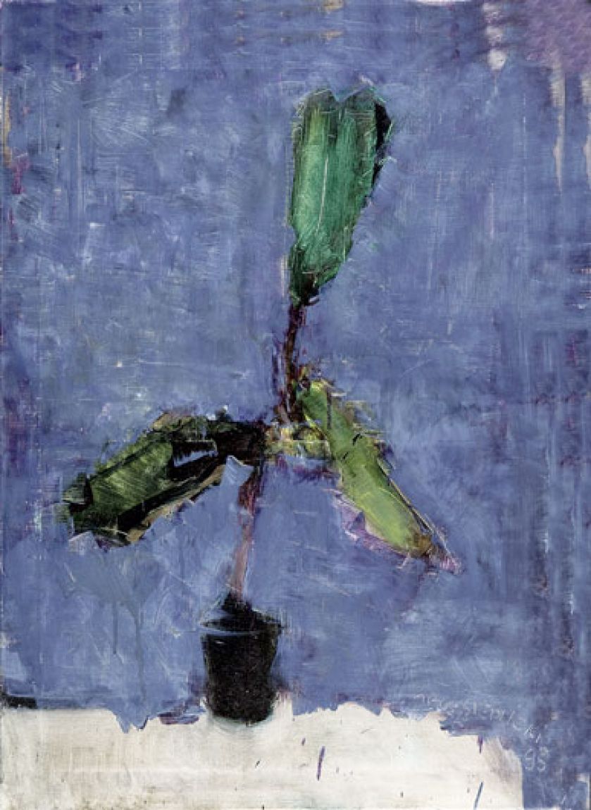 Jacek Sienicki, Fikus , 1995 r., Desa Unicum