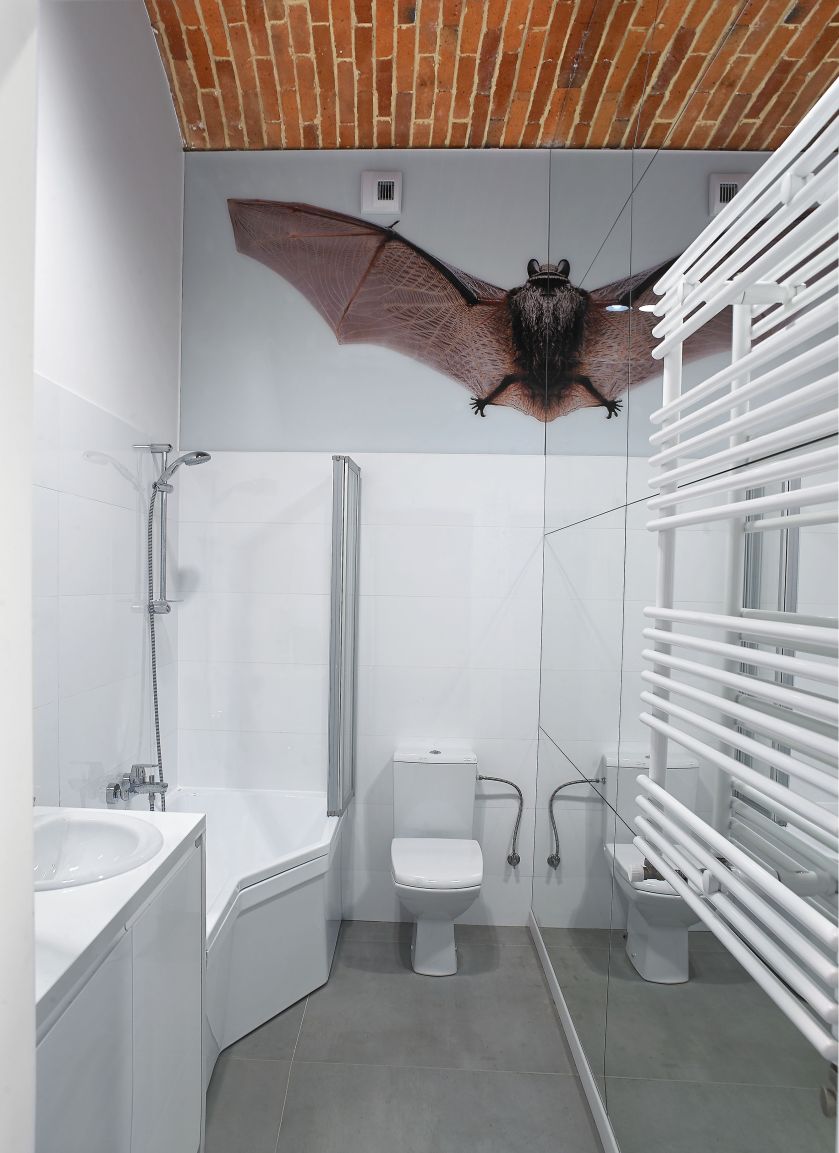 Nietoperz w łazience. Wystarczyła połowa zdjęcia i duże lustro, w którym się odbija. Na szczęście.