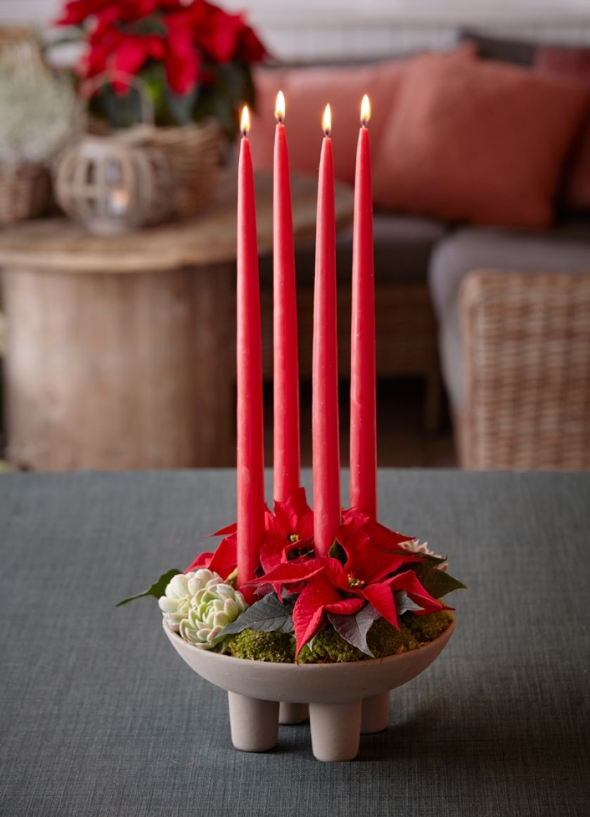 stroik adwentowy z gwiazdą betlejemską