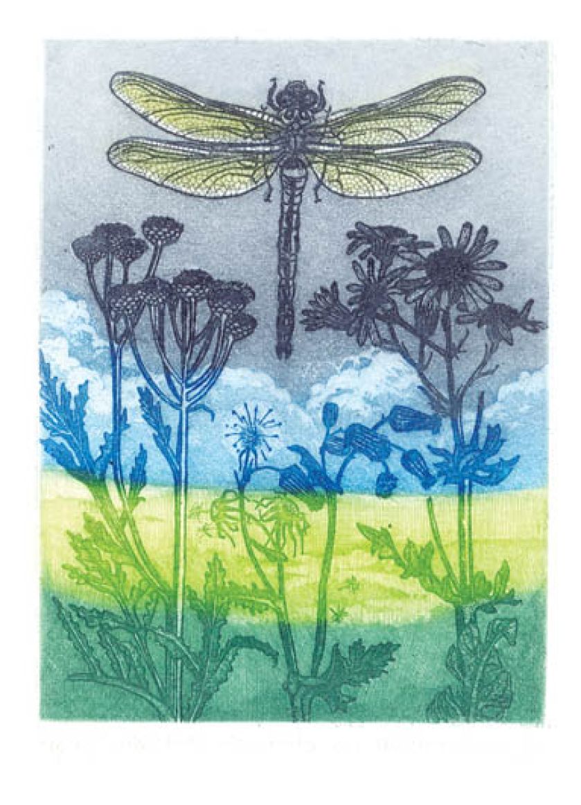 Elżbieta Bocianowska. Pod wspólnym dachem