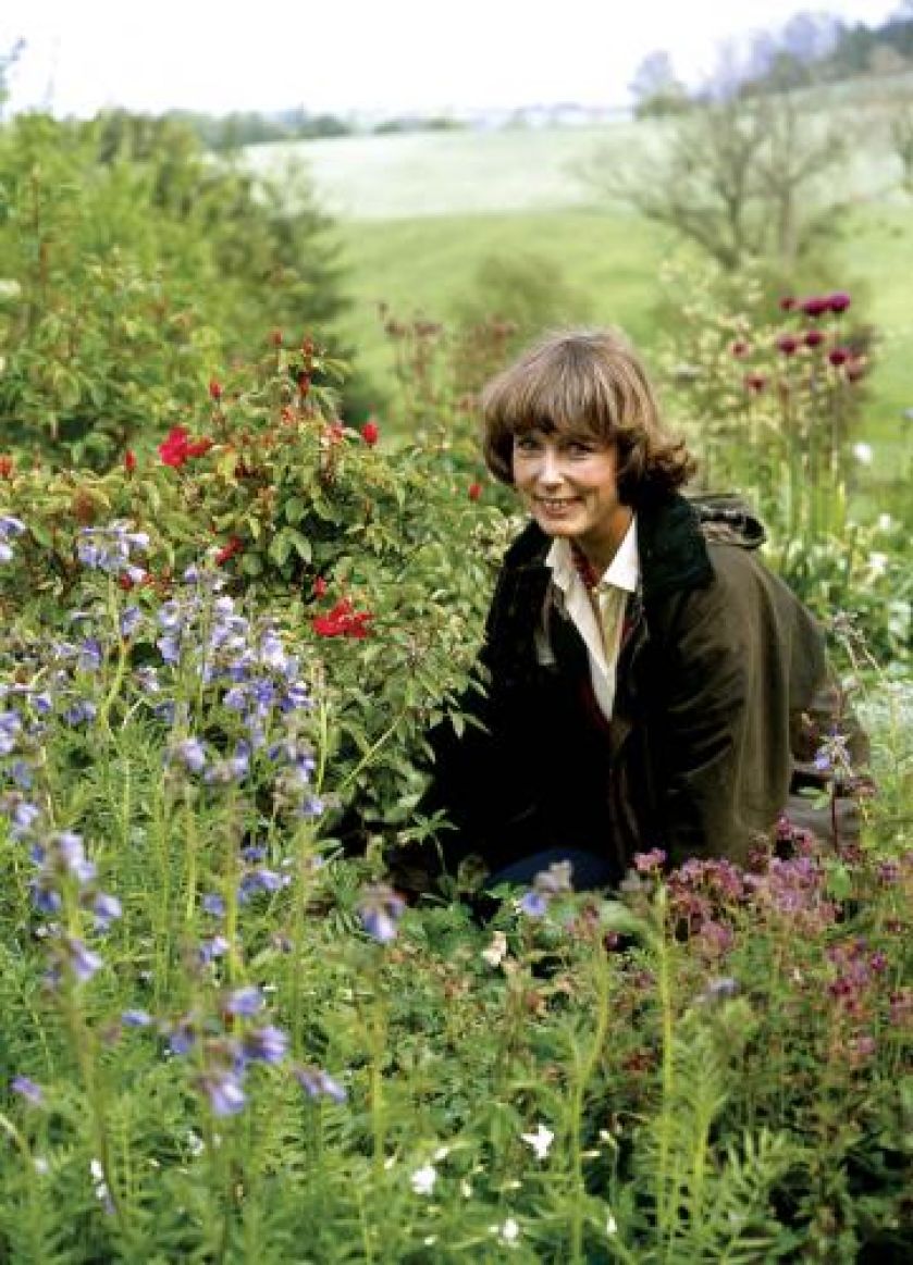 Ginna w wysokich trawach wycina ścieżki, żeby kwiaty można było podziwiać z bliska.