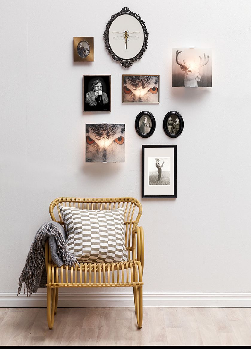 Rzucając światło. Rzucając światło