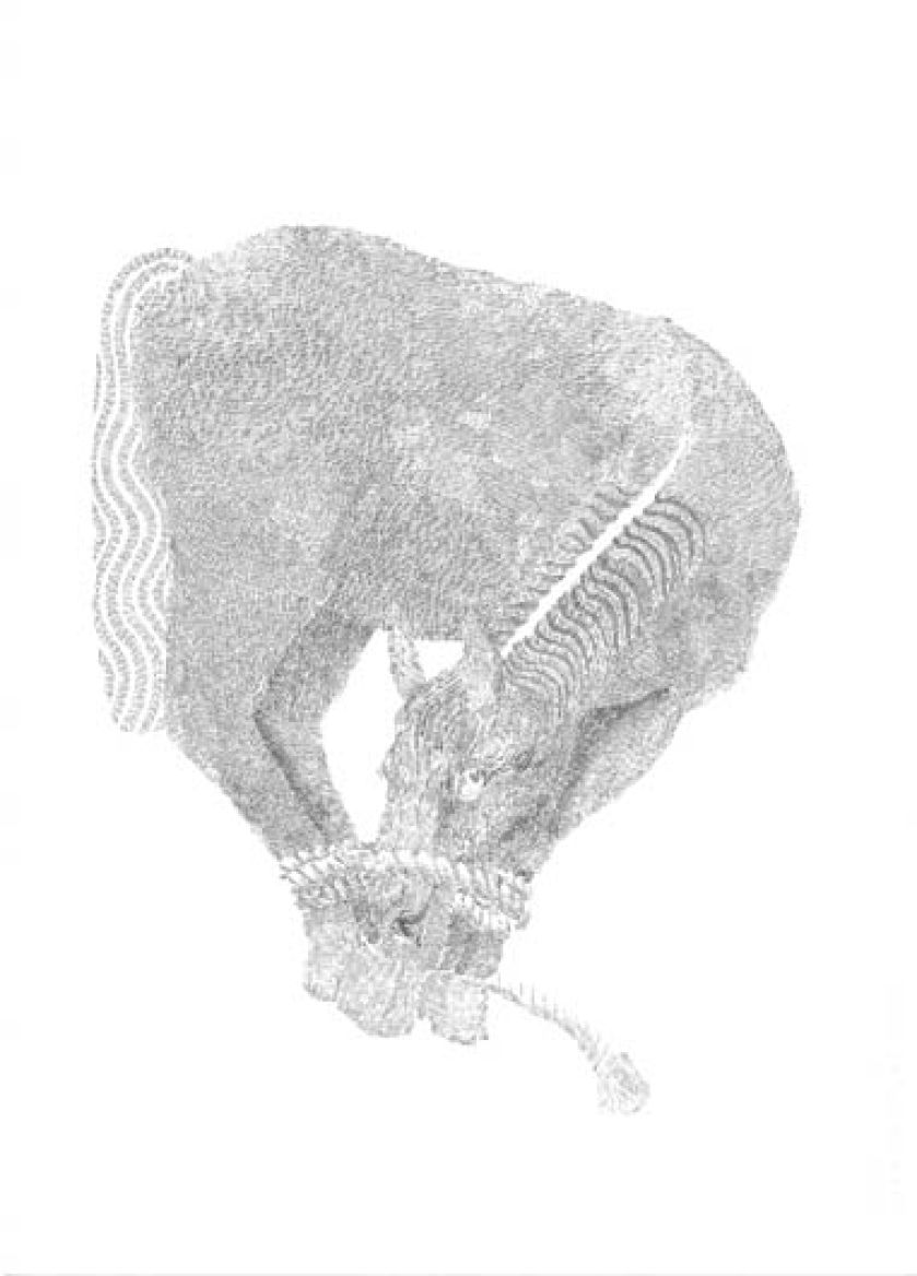 Piórkiem i tuszem. Piórkiem i tuszem