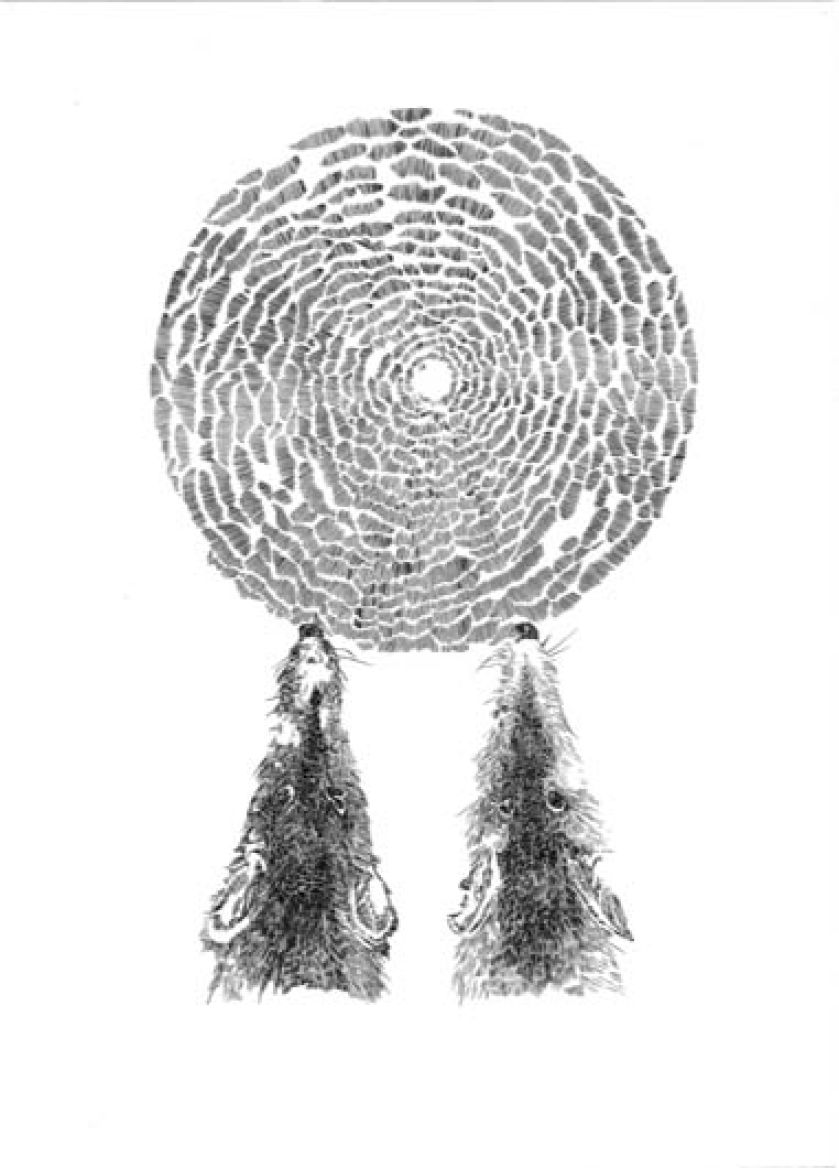 Słońce czy szczur. Piórkiem i tuszem