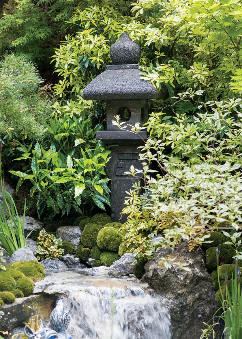 Oczko wśród klonów