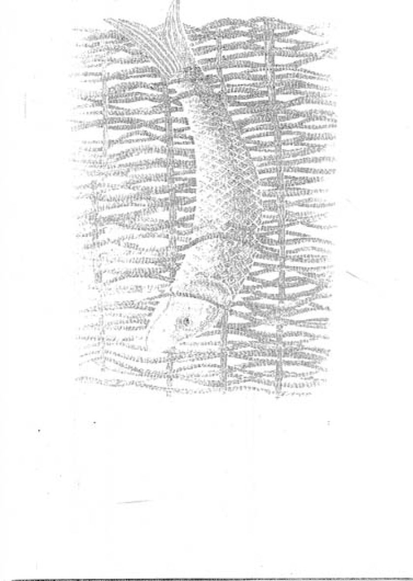 Ela Dudek tworzy misterne grafiki z tysiąca czarnych kresek.