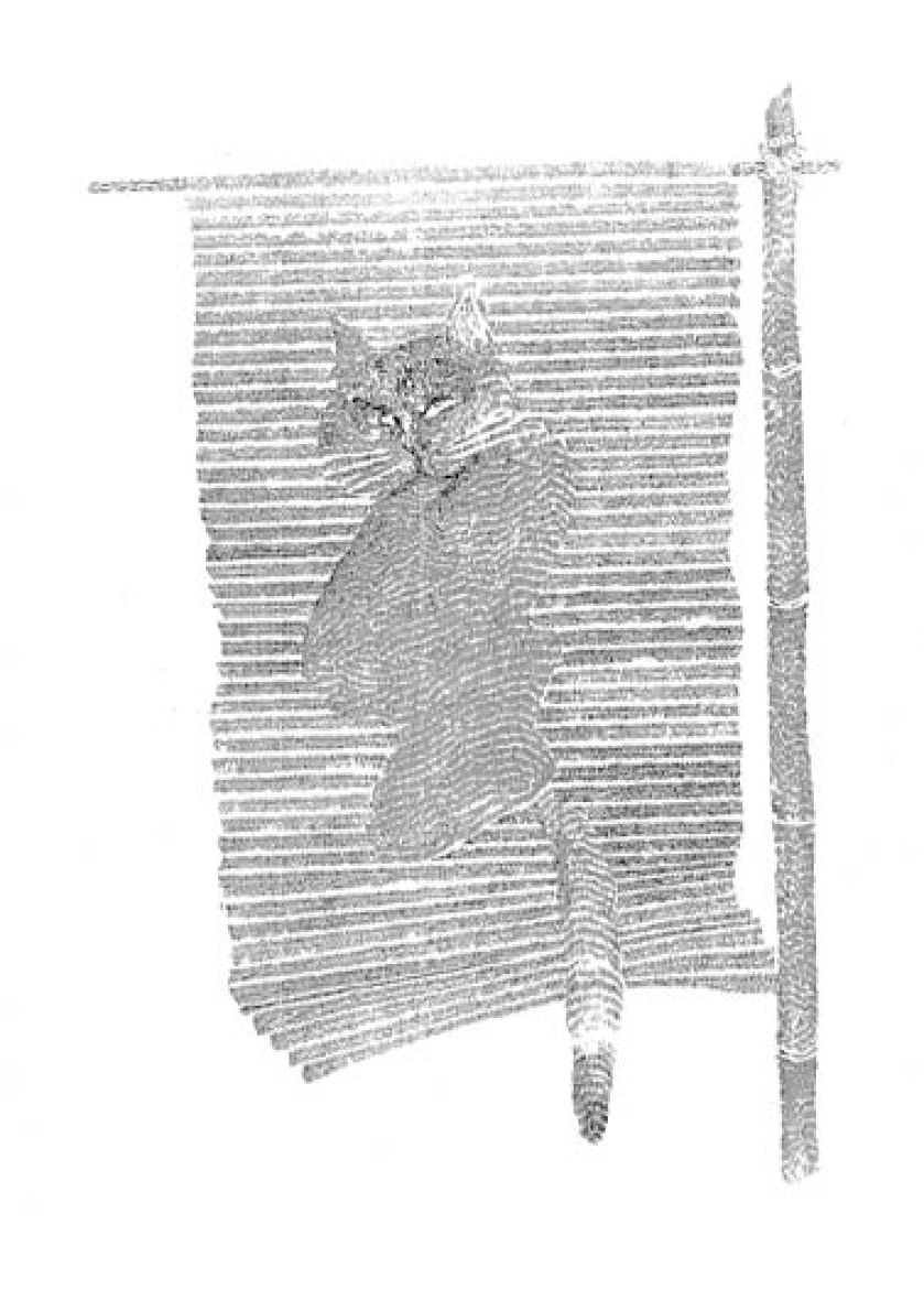 Ela jest wierna technice ilustrowania tuszem i piórkiem.