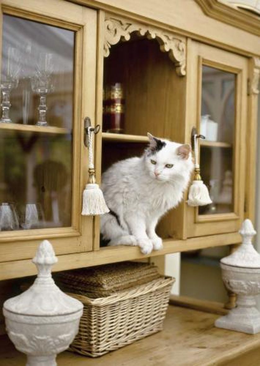 Każdy z domowników znajdzie miejsce dla siebie.