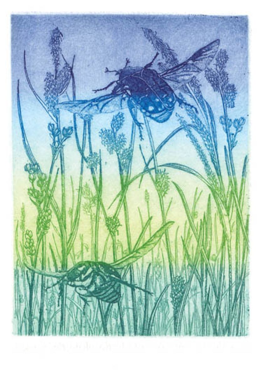 Elżbieta Bocianowska. Pod wspólnym dachem