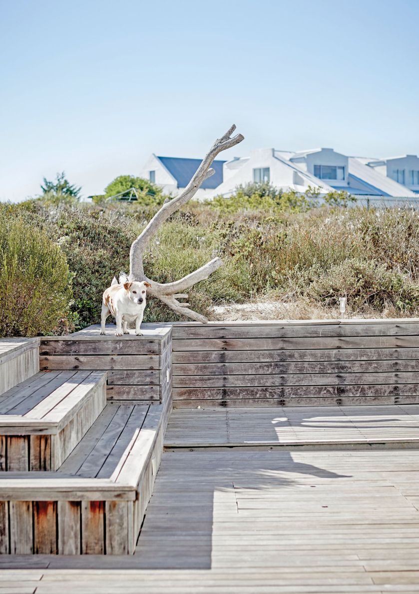 Dzikie plaże, szum spotykających się w pobliżu oceanów Atlantyckiego i Indyjskiego - zobaczcie nowoczesny dom