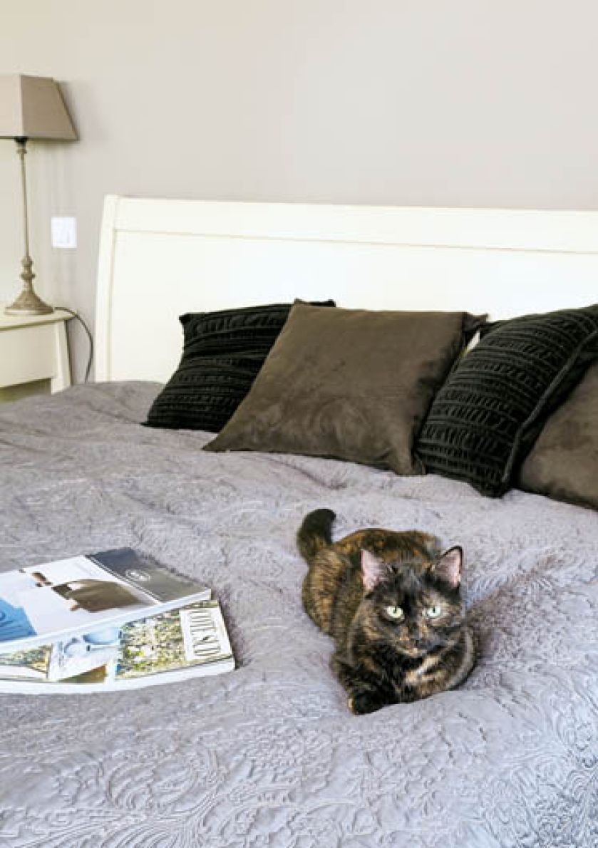 Kotka Zara - cała w brązach. Toskania po polsku