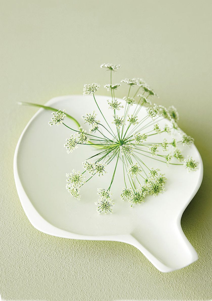 Młode rośliny mają tyle odcieni, że I nie potrzebują żadnych dodatkowych ozdób.