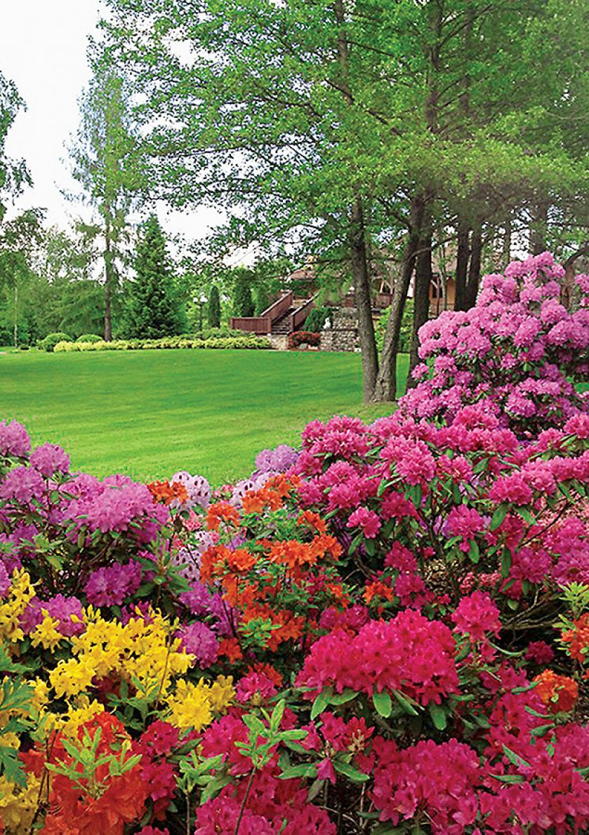 Można się tu poczuć jak w toskańskiej rezydencji, która należy do rodziny od kilkunastu pokoleń.