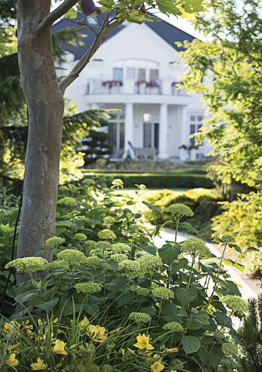 Ta odmiana pasowała tu idealnie – opowiadają. Zanim w czerwcu rozpocznie się różany spektakl, rabaty