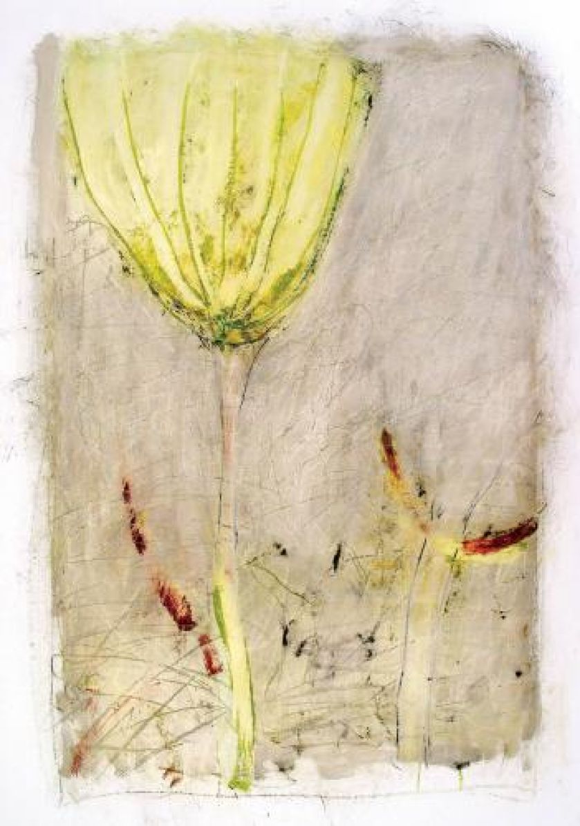 Iza Staręga Dmuchawiec , olej, pastel na papierze.