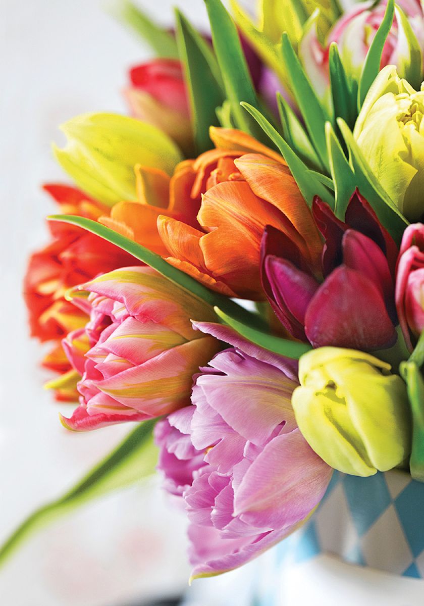 Pomysł na dekorację z tulipanów. Prosty bukiet kwiatów.