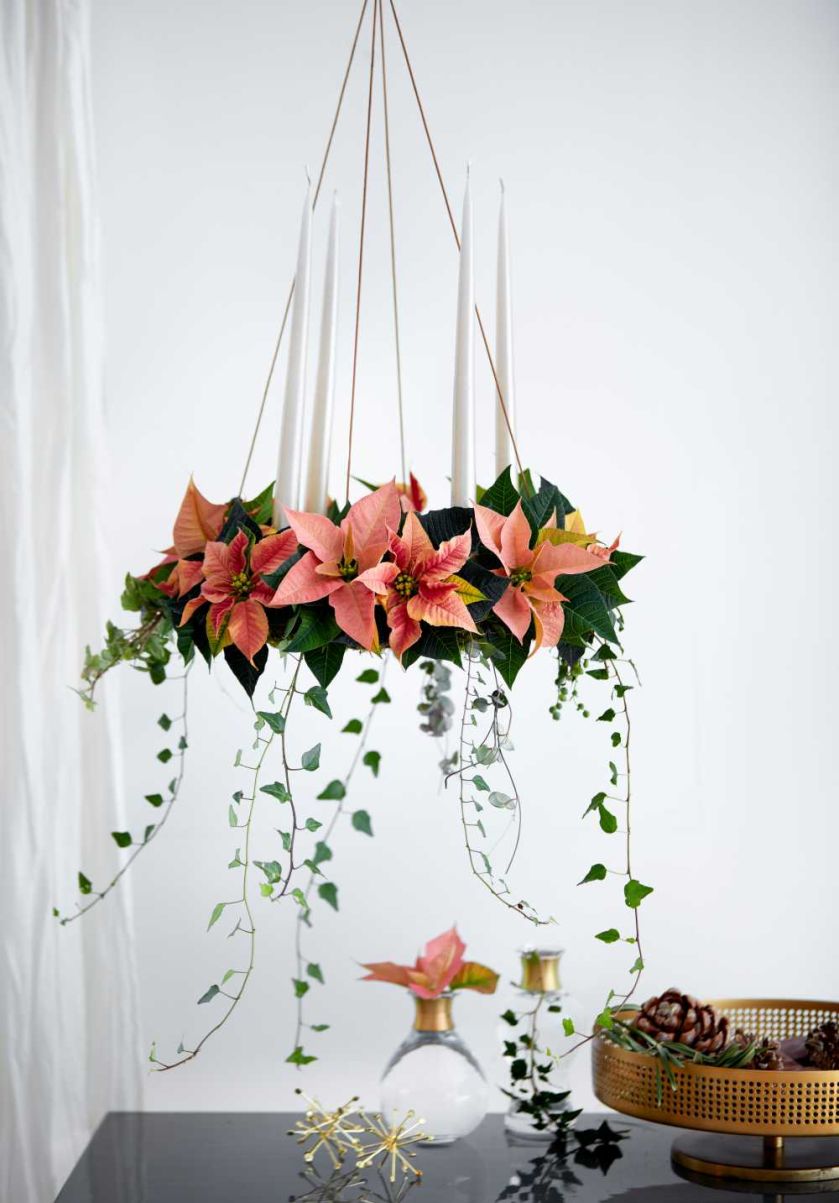 dekoracje bożonarodzeniowe z gwiazdą betlejemską