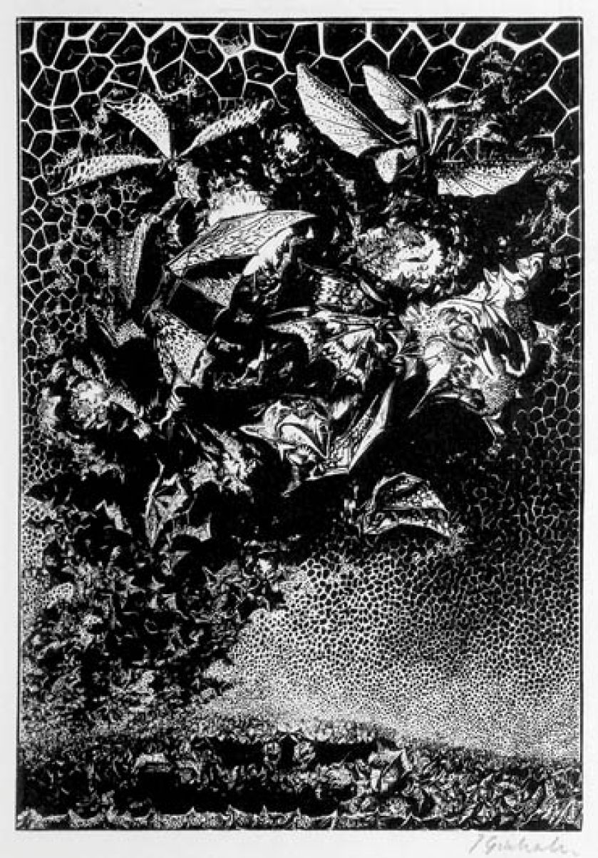 Improwizacja dla Grażynki V , 1966 r., NAUTILUS