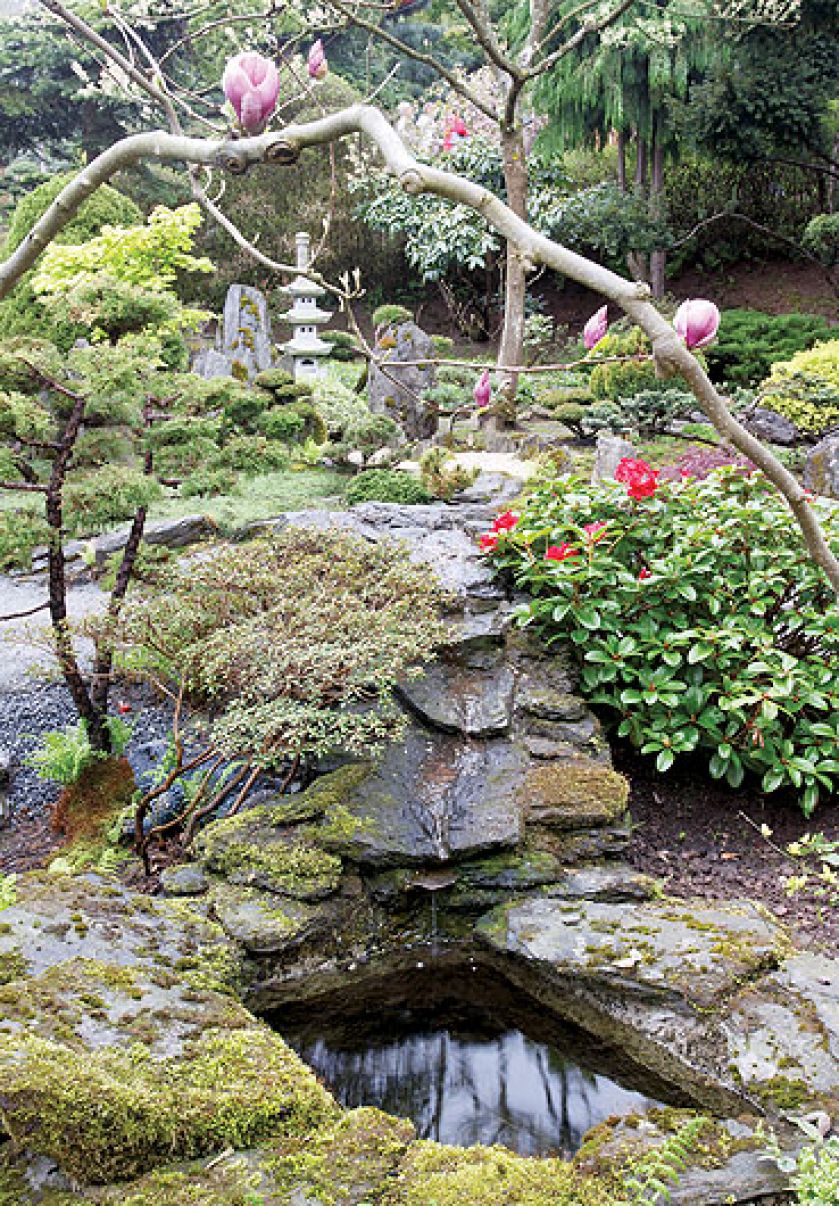 Japoński ogród niedaleko Kudowy-Zdrój. Najpiękniejsze drzewka bonsai w Polsce.