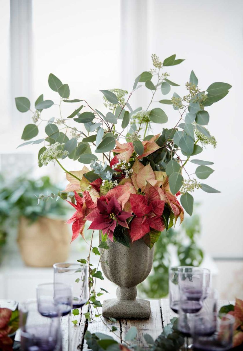 Dekoracje świąteczne DIY – gwiazda betlejemska i ozdoby w wazonach