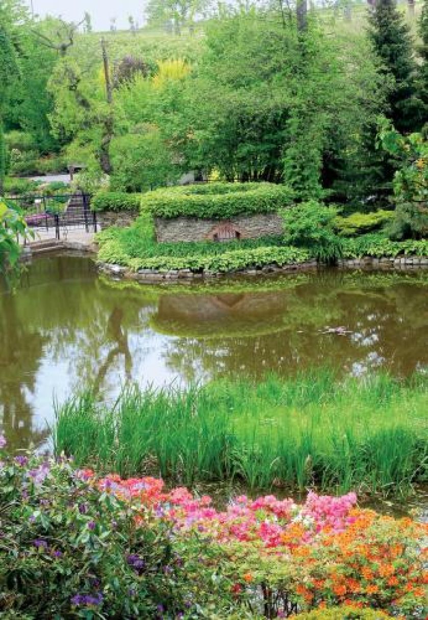 Oczka wodne ułatwiają utrzymanie odpowiedniej wilgoci.