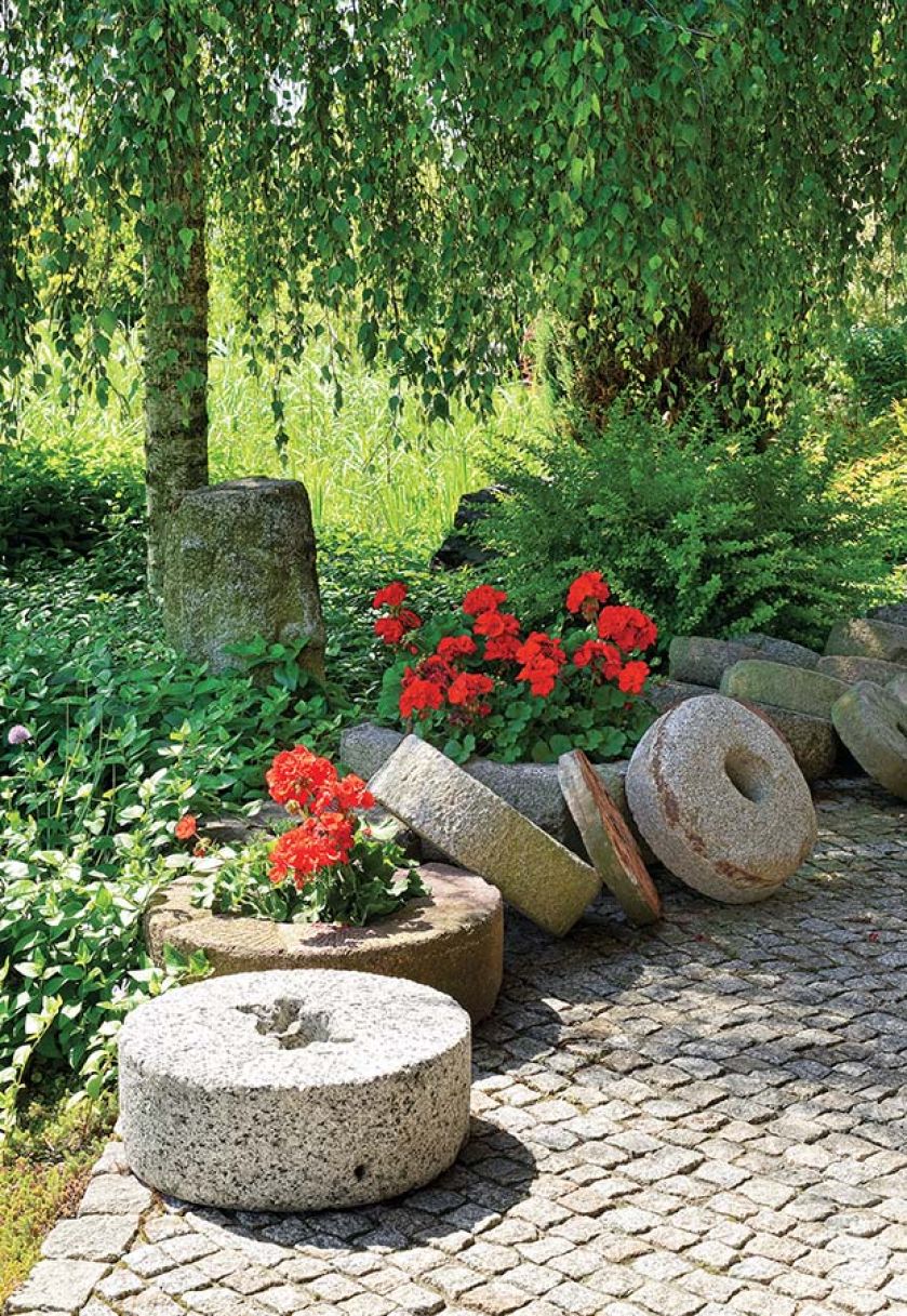 amienne żarna, dawniej służące do mielenia zboża, zostały przerobione na donice dla jaskrawoczerwonych pelargonii.