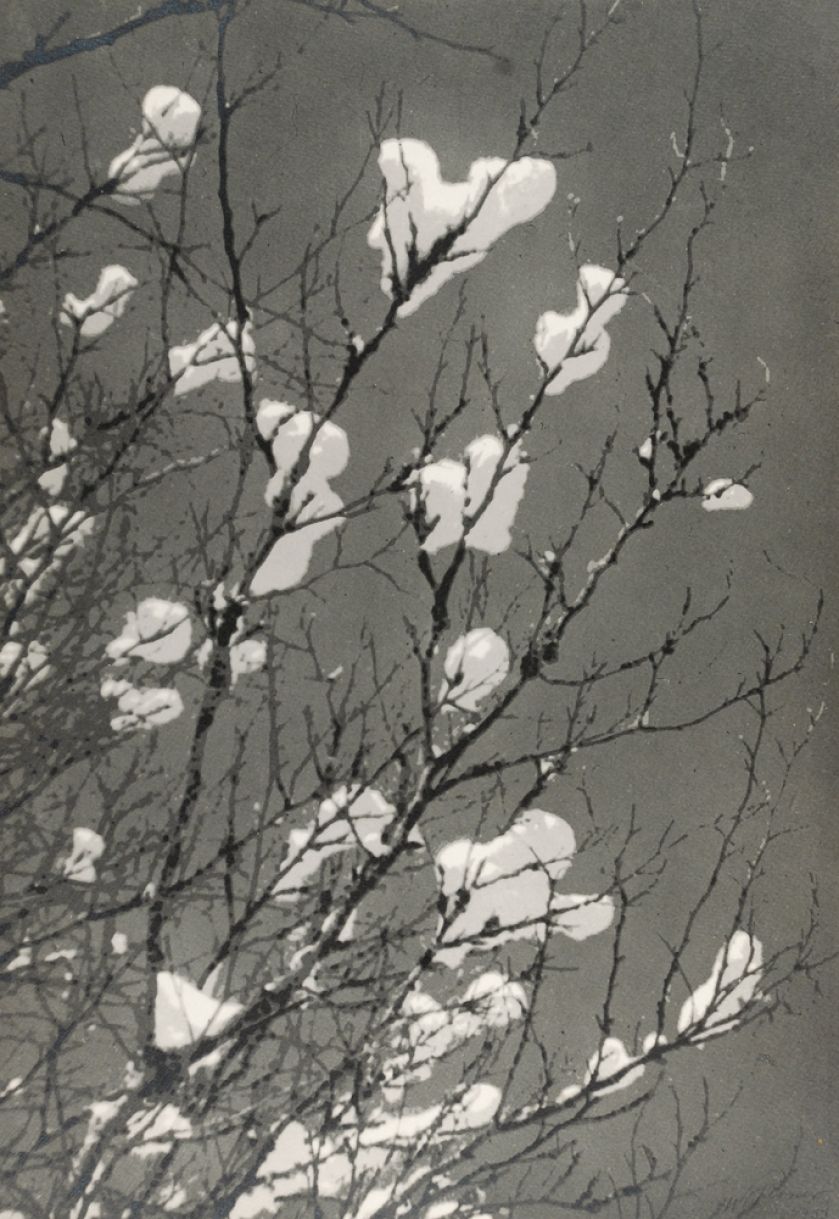 Witold Romer, Bez tytułu, 1933. 17. edycja projektu Fotografia Kolekcjonerska: WYSTAWA I AUKCJA MISTRZÓW POLSKIEJ FOTOGRAFII