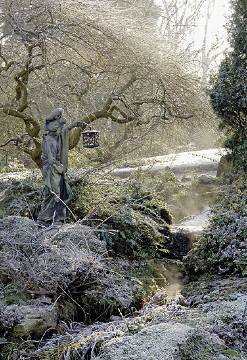 Zima w japońskim ogrodzie