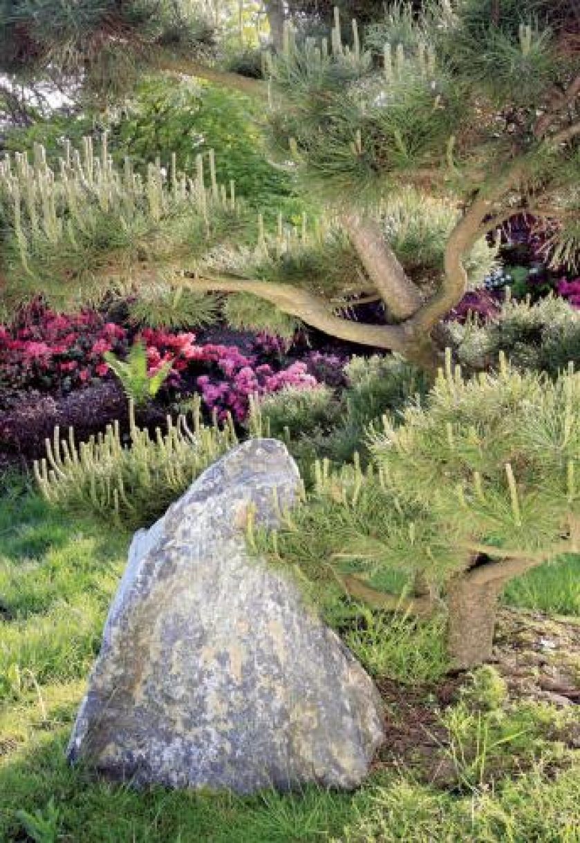 Kamienie świetnie się komponują z otaczającą je roślinnością.