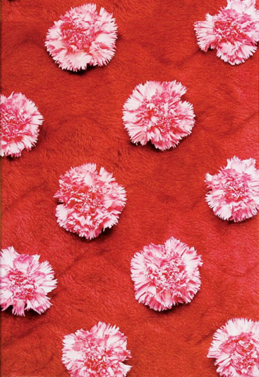 Bez tytułu , 1999 r., Jadwiga Sawicka, Medium