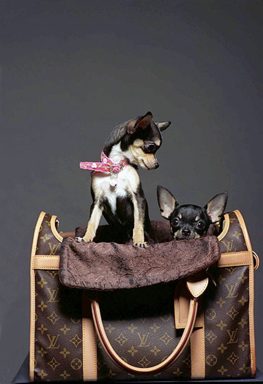 Walizki i torebki Louis Vuitton