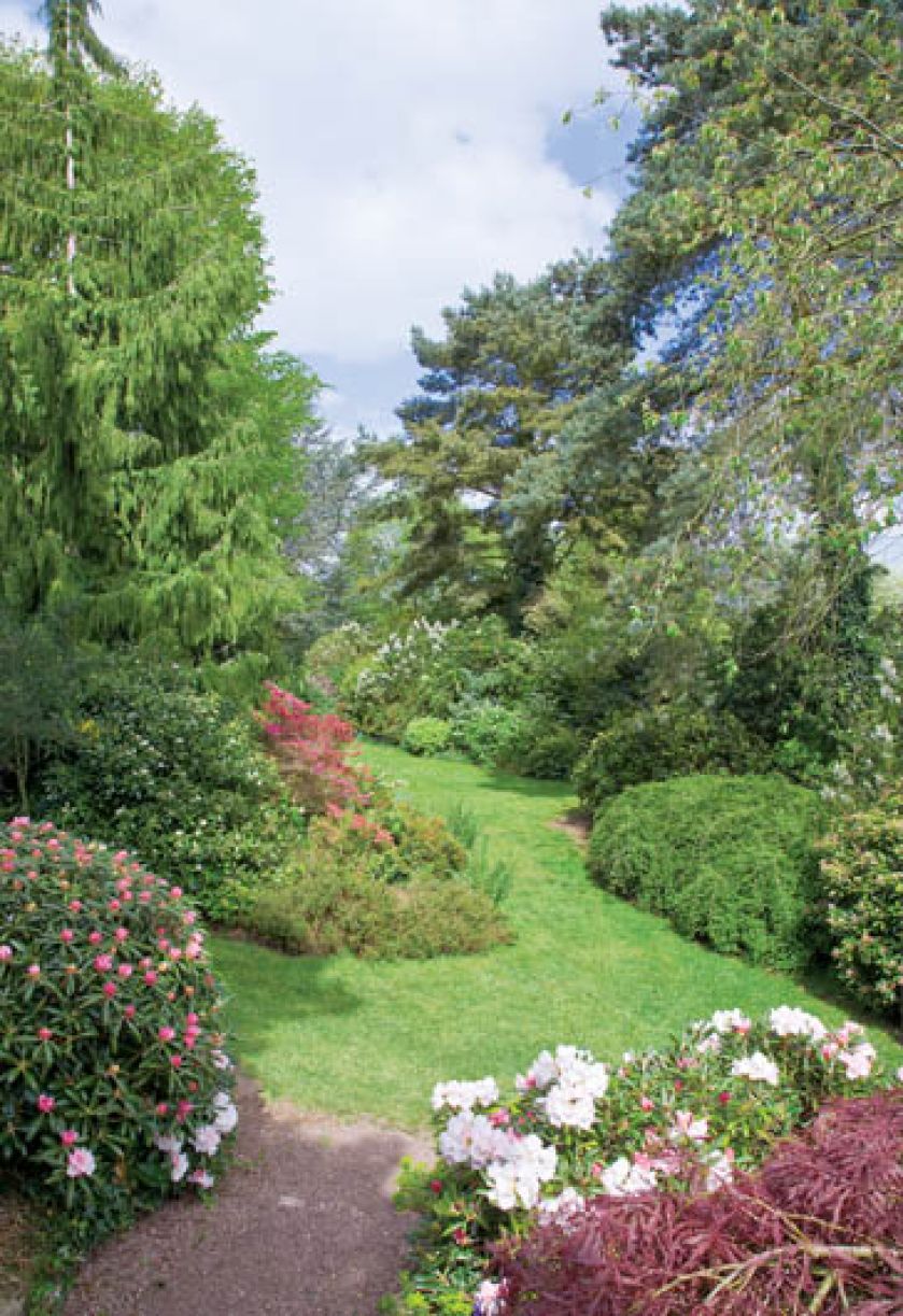 Podczas spaceru można podziwiać najpiękniejsze kwiaty.