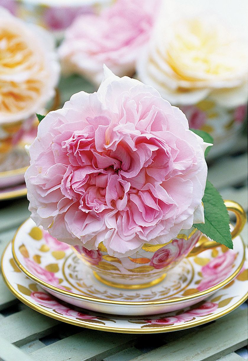 Wazon na krótkie kwiaty. Drugie życie filiżanki