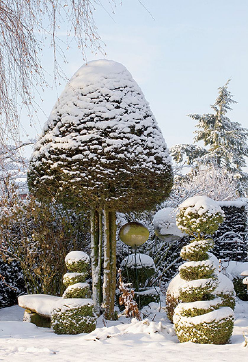 Ogród piękny zimą