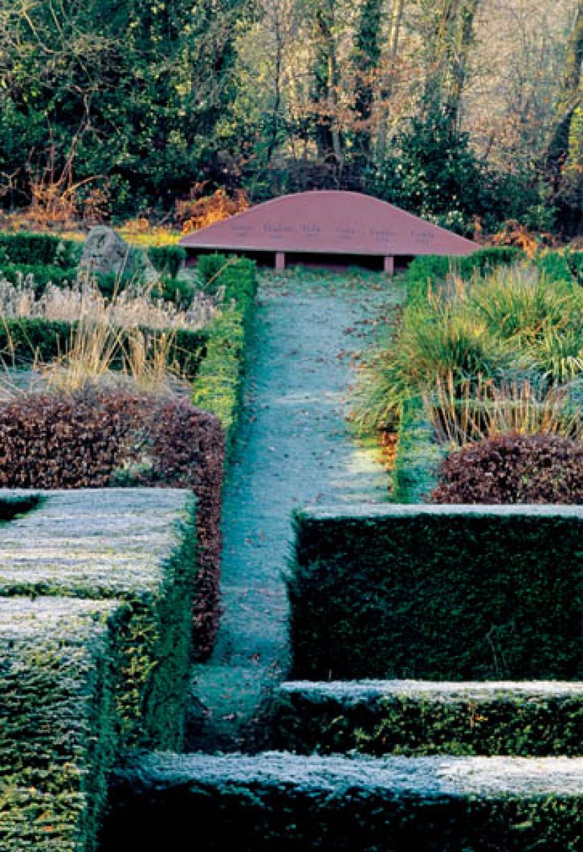 Żywopłoty chronią rośliny wrażliwe na chłód przed hulającymi zimą wiatrami.