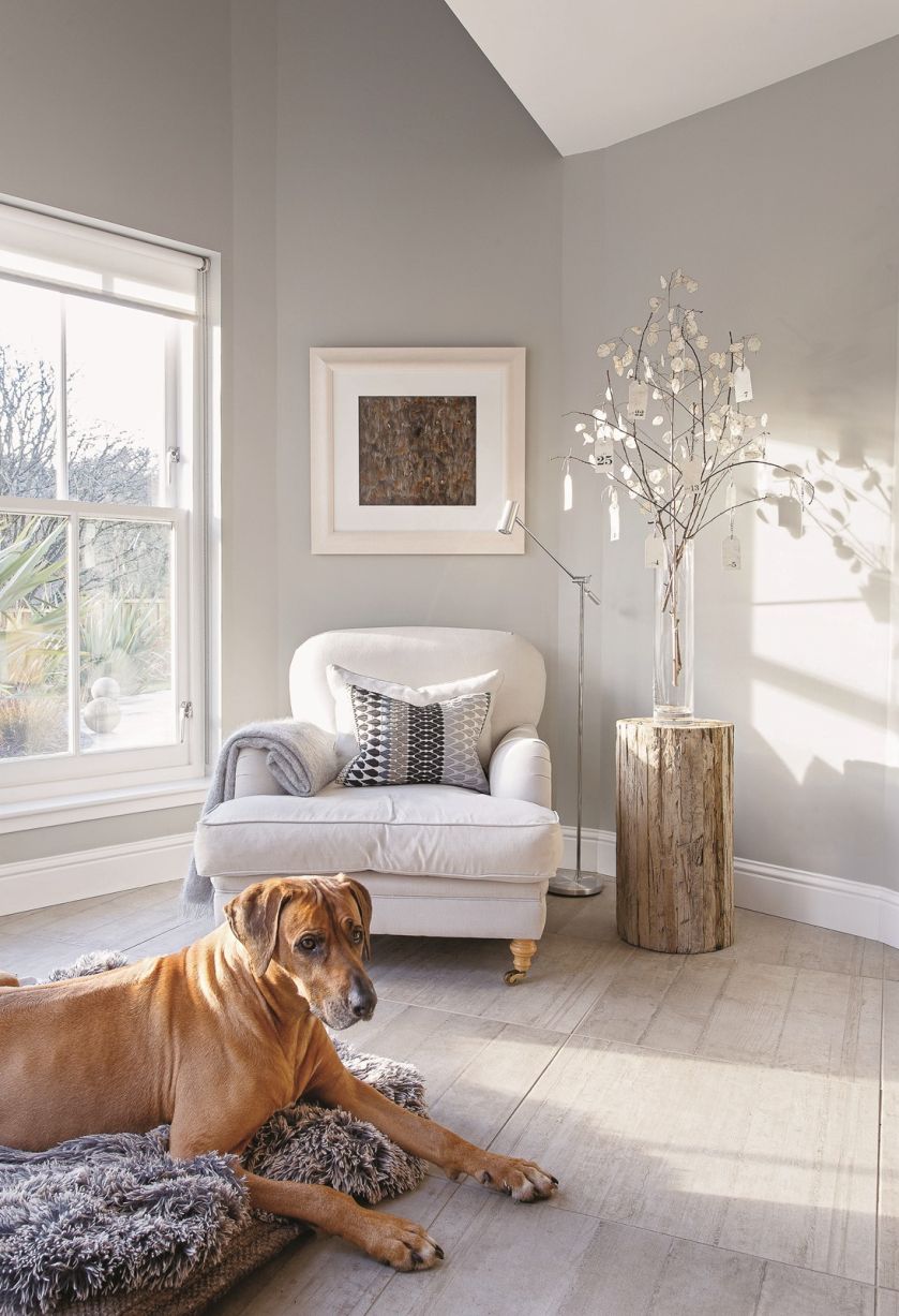 Przytulny dom w Szkocji gotowy na karnawał