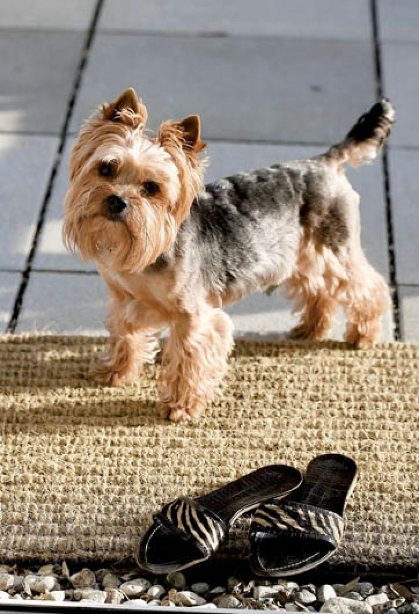 Apartament w parku nad stawem ma wszystkie zalety willi z ogrodem. Nowoczesny i wygodny.