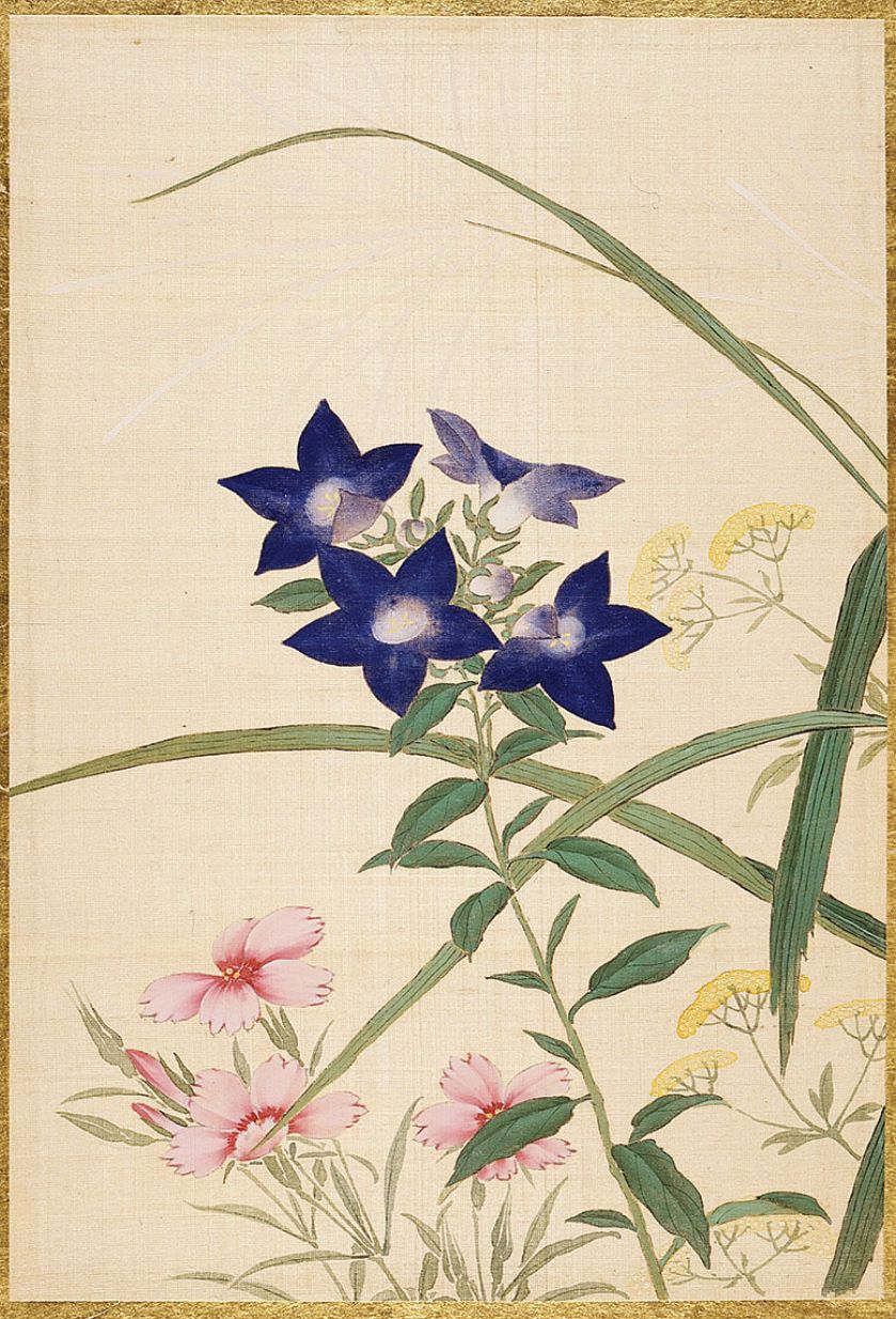 Ikebana nie jest zwykłym bukietem – każdy kwiat symbolizuje jakieś uczucie. Gdy usta milczą, mówią